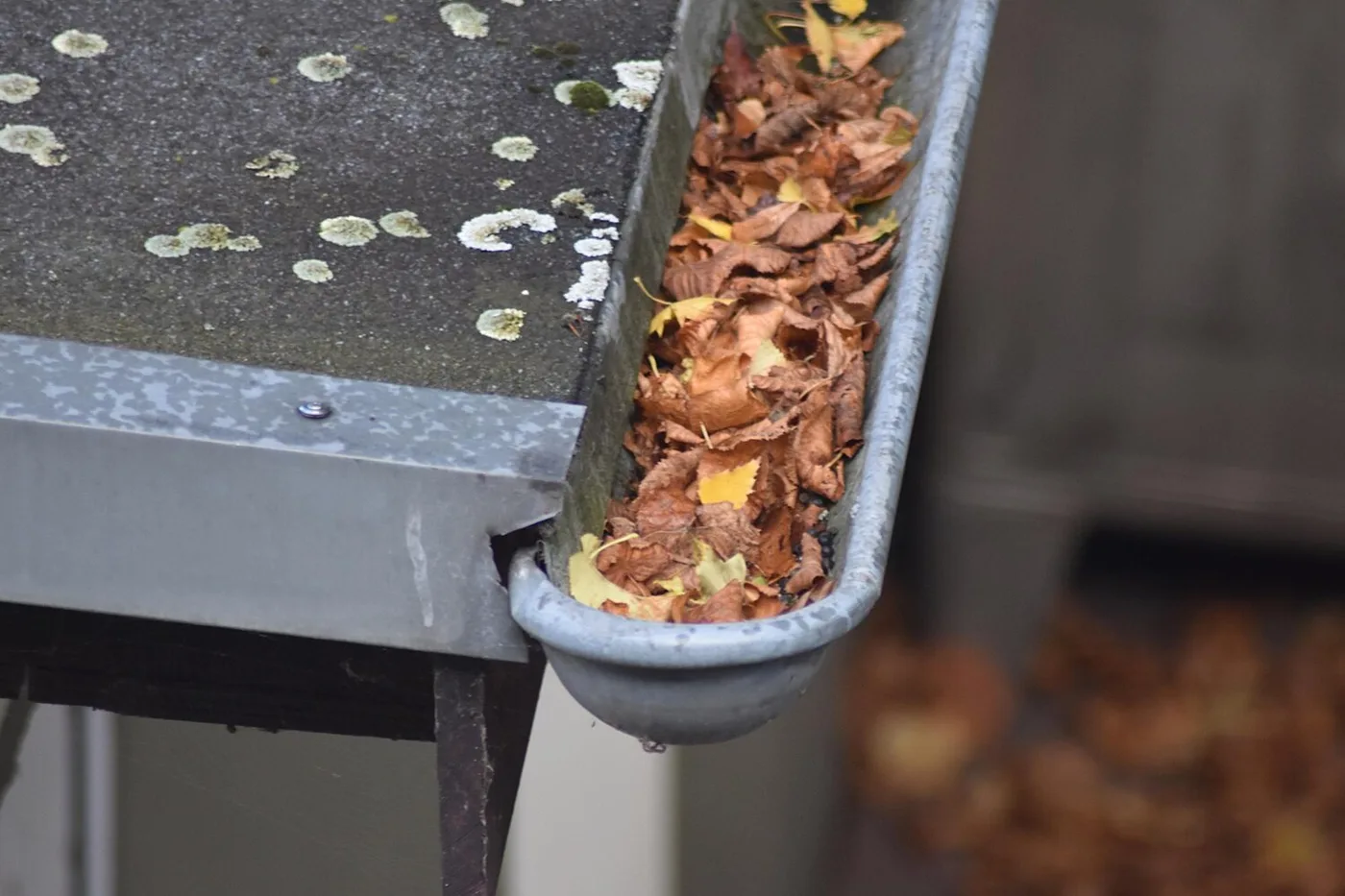 Signs You Need Gutter Repair
